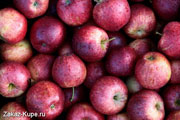 фотопечать фрукты и ягоды, пример №12