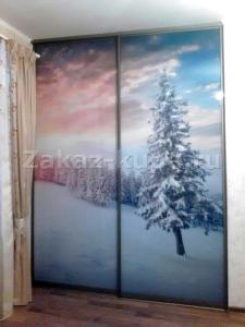 Двери купе - фото зимний пейзаж